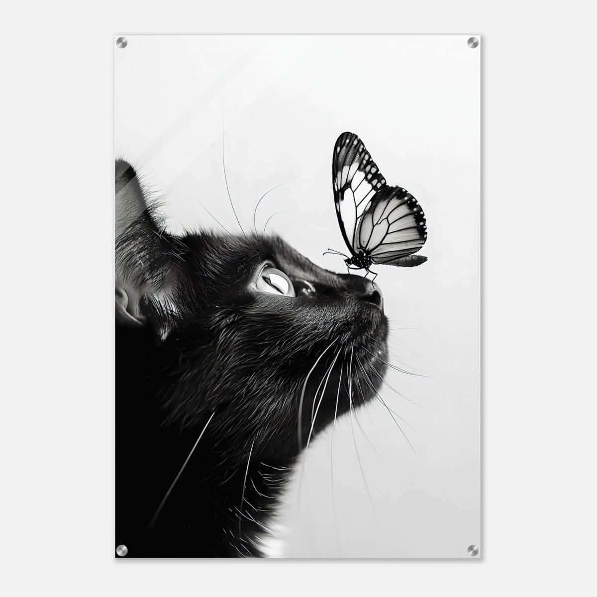 Da Vinci Animal Kingdom Wall art | Cat Butterfly - Acrylic Print - 70x100 cm / 28x40″ -