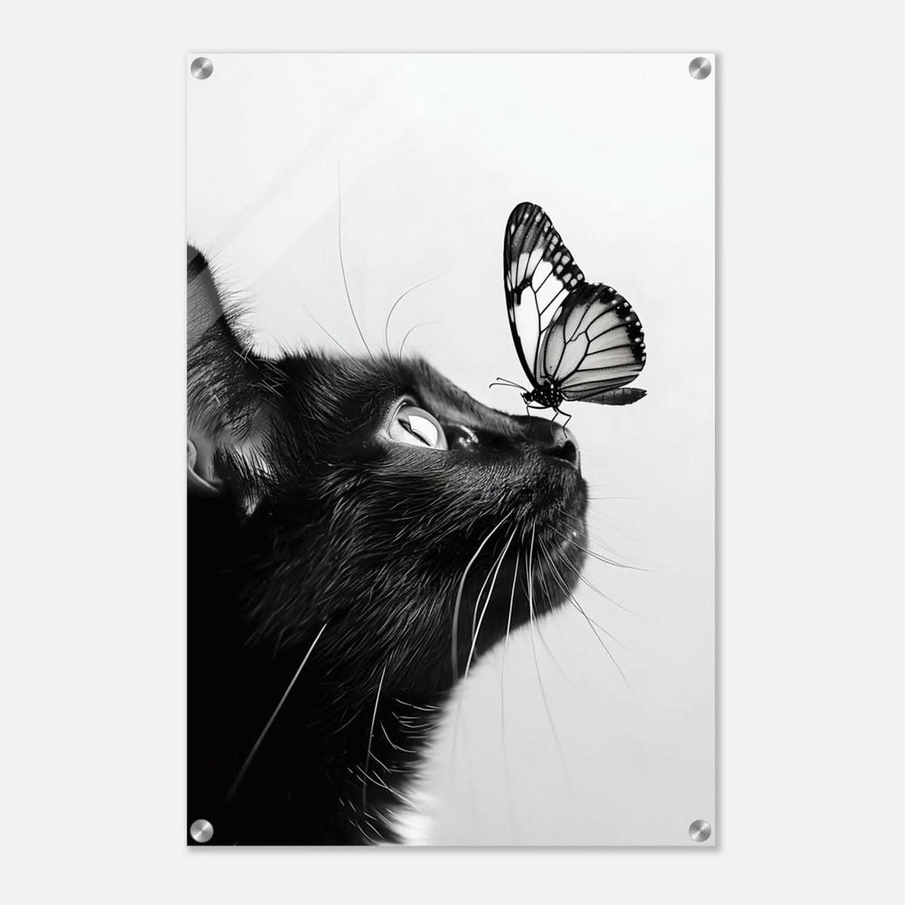 Da Vinci Animal Kingdom Wall art | Cat Butterfly - Acrylic Print - 50x75 cm / 20x30″ -