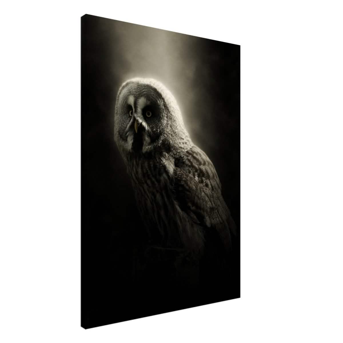 Da Vinci Animal Kingdom Wall art | Owl - Canvas - 70x100 cm / 28x40″ - Thick