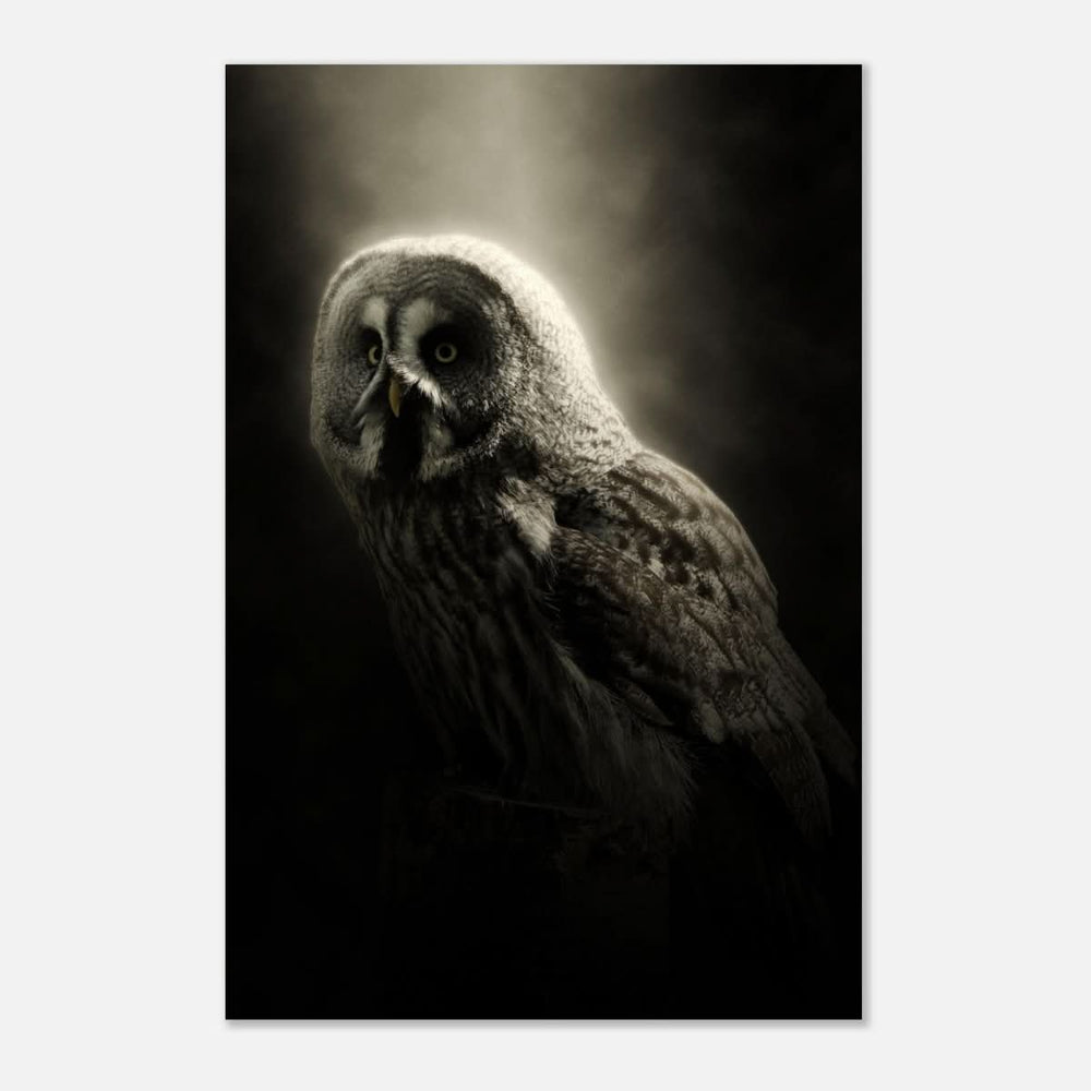 Da Vinci Animal Kingdom Wall art | Owl - Aluminum Print - 40x60 cm / 16x24″ -