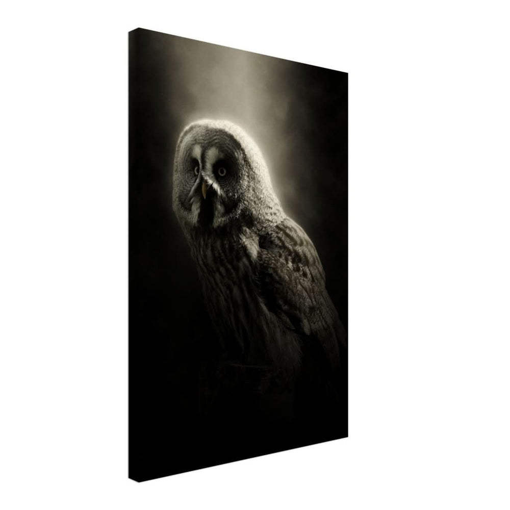 Da Vinci Animal Kingdom Wall art | Owl - Canvas - 40x60 cm / 16x24″ - Slim
