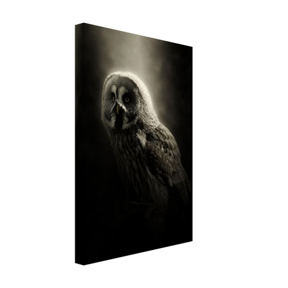 Da Vinci Animal Kingdom Wall art | Owl - Canvas - 30x45 cm / 12x18″ - Thick