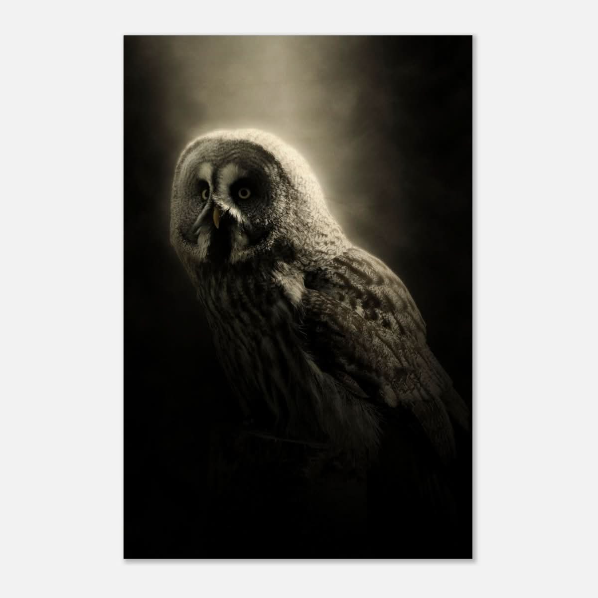 Da Vinci Animal Kingdom Wall art | Owl - Wood Prints - 50x75 cm / 20x30″ - 10 mm