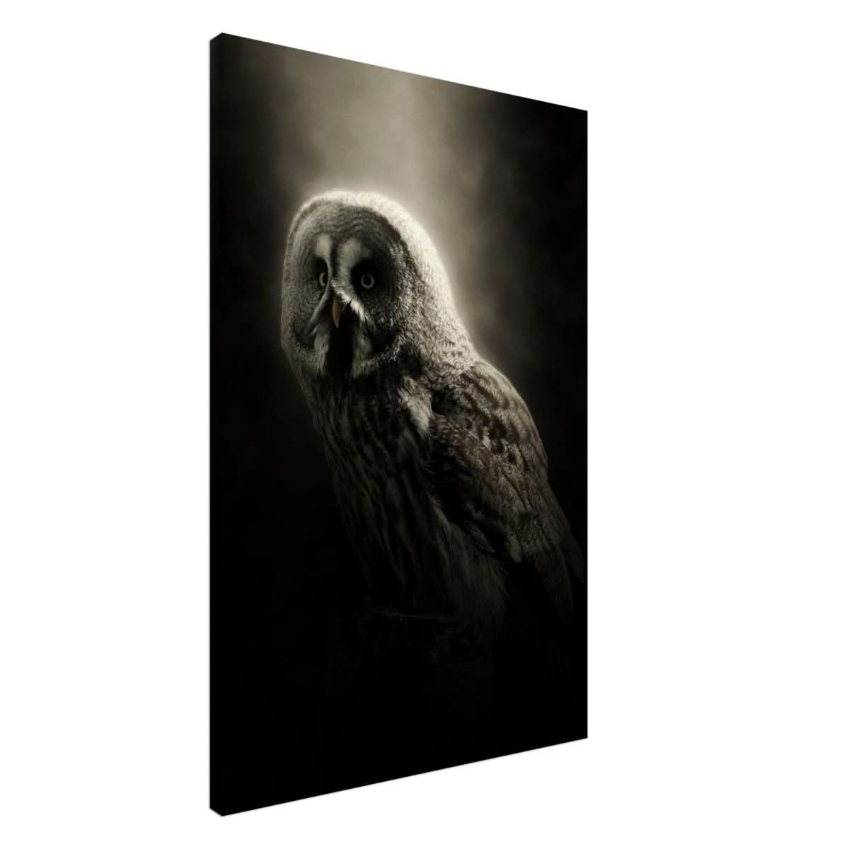 Da Vinci Animal Kingdom Wall art | Owl - Canvas - 60x90 cm / 24x36″ - Slim