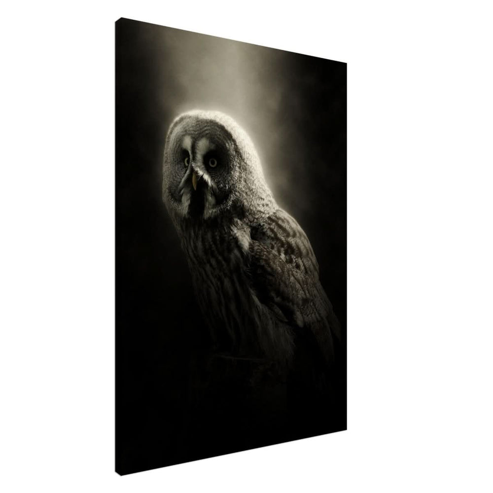 Da Vinci Animal Kingdom Wall art | Owl - Canvas - 70x100 cm / 28x40″ - Slim