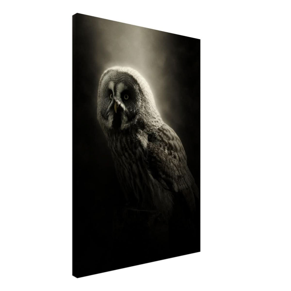 Da Vinci Animal Kingdom Wall art | Owl - Canvas - 60x90 cm / 24x36″ - Thick