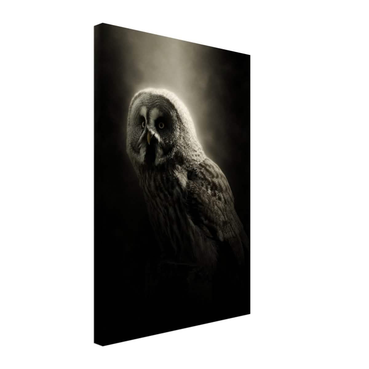 Da Vinci Animal Kingdom Wall art | Owl - Canvas - 40x60 cm / 16x24″ - Thick