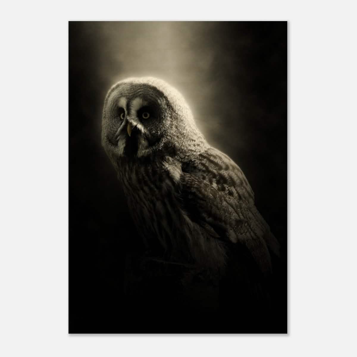 Da Vinci Animal Kingdom Wall art | Owl - Wood Prints - 70x100 cm / 28x40″ - 20 mm