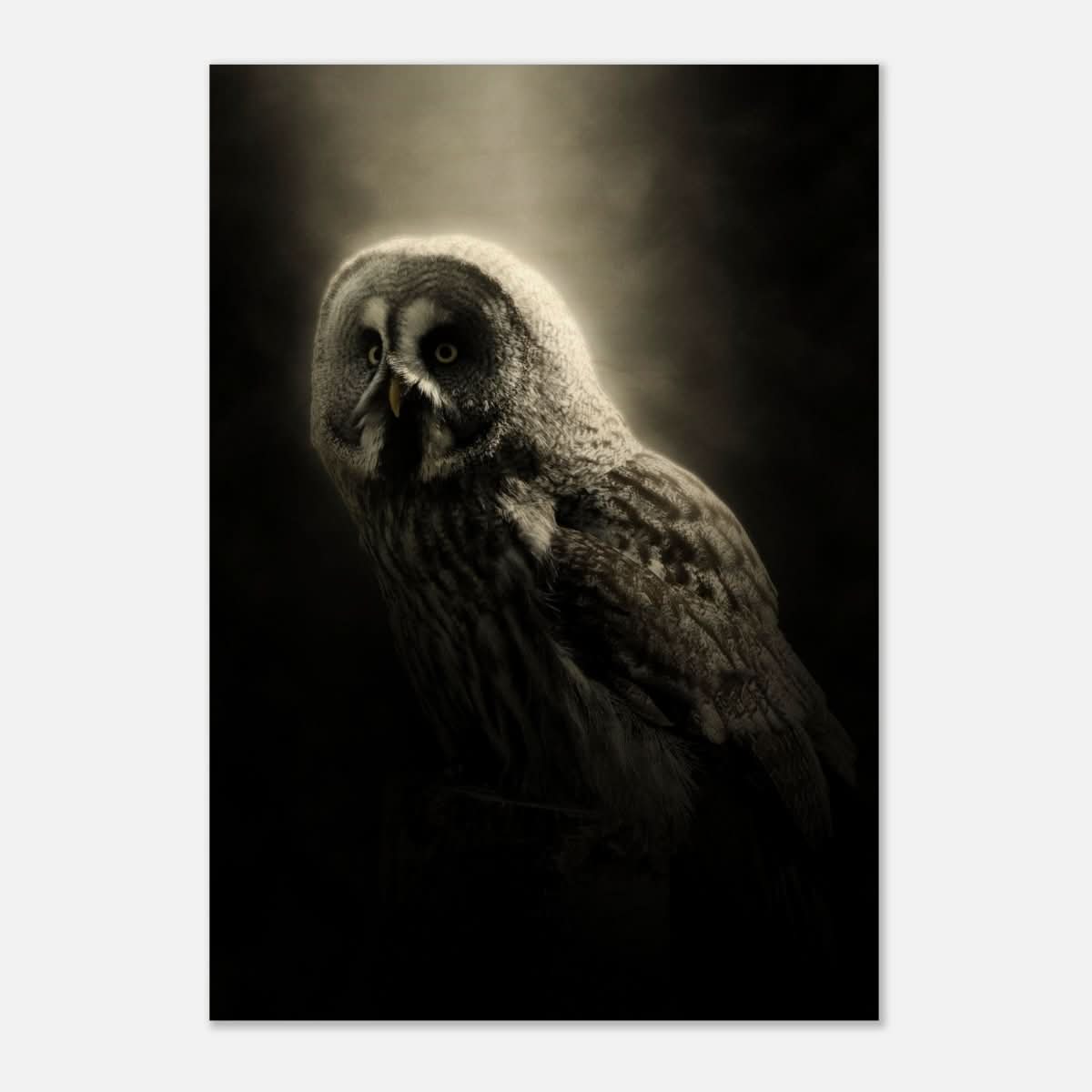 Da Vinci Animal Kingdom Wall art | Owl - Wood Prints - 70x100 cm / 28x40″ - 10 mm