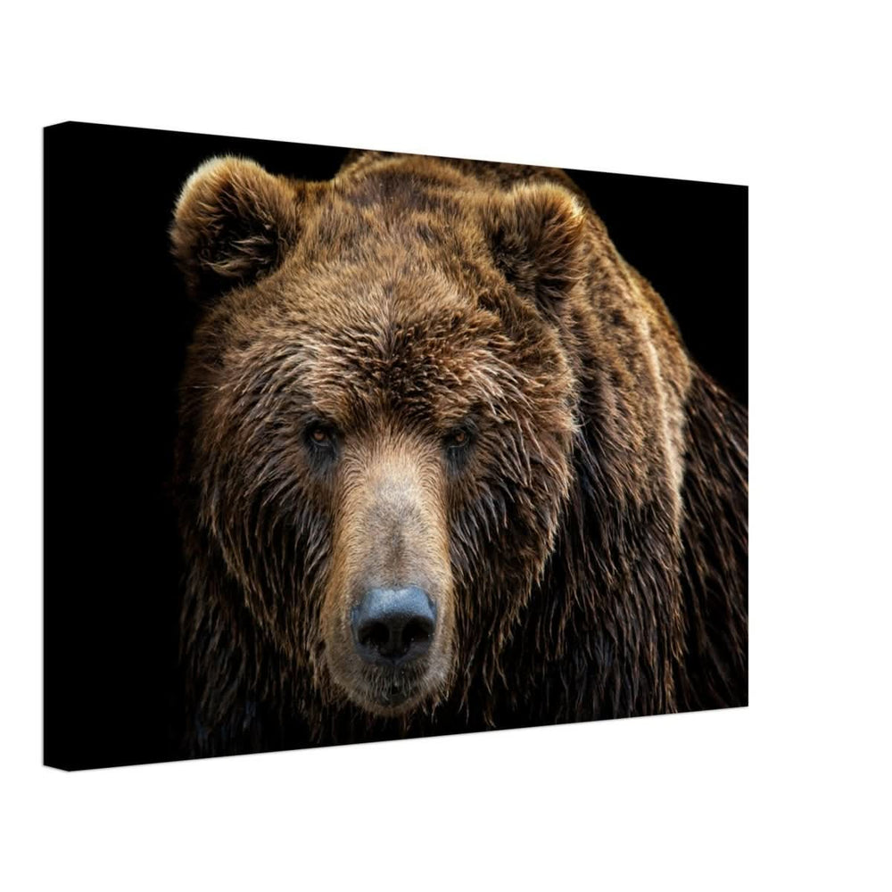 Da Vinci Animal Kingdom Wall art print | Brown bear - Canvas - 40x60 cm / 16x24″ - Thick