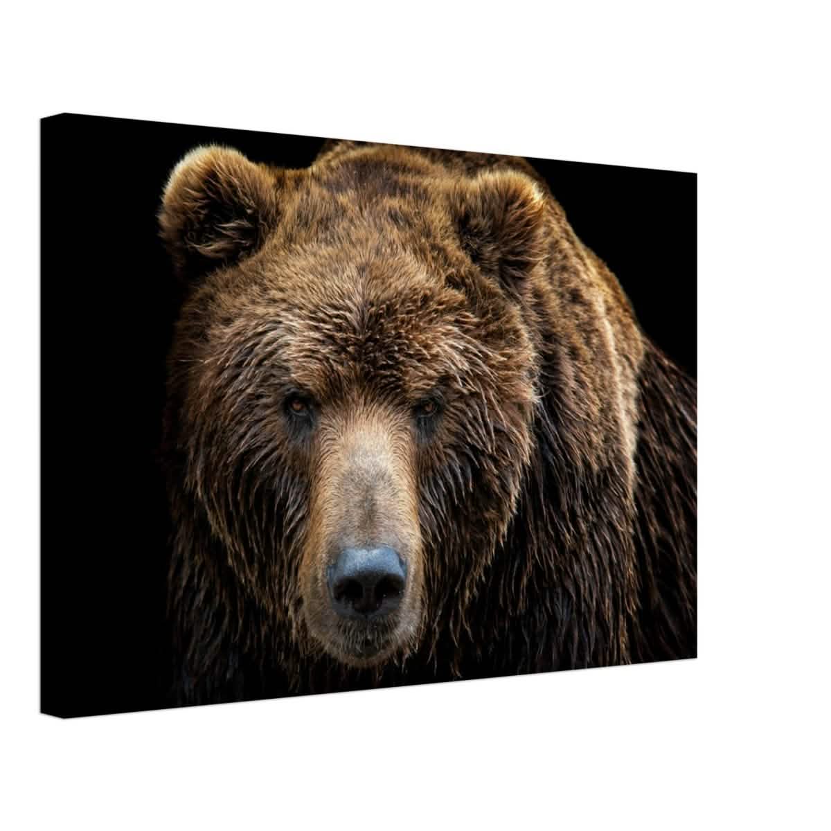 Da Vinci Animal Kingdom Wall art print | Brown bear - Canvas - 40x60 cm / 16x24″ - Thick