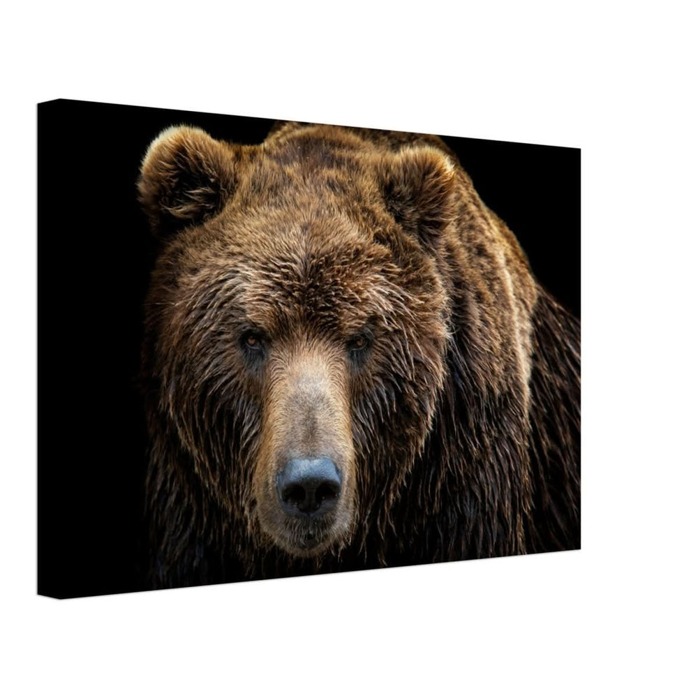 Da Vinci Animal Kingdom Wall art print | Brown bear - Canvas - 30x45 cm / 12x18″ - Slim
