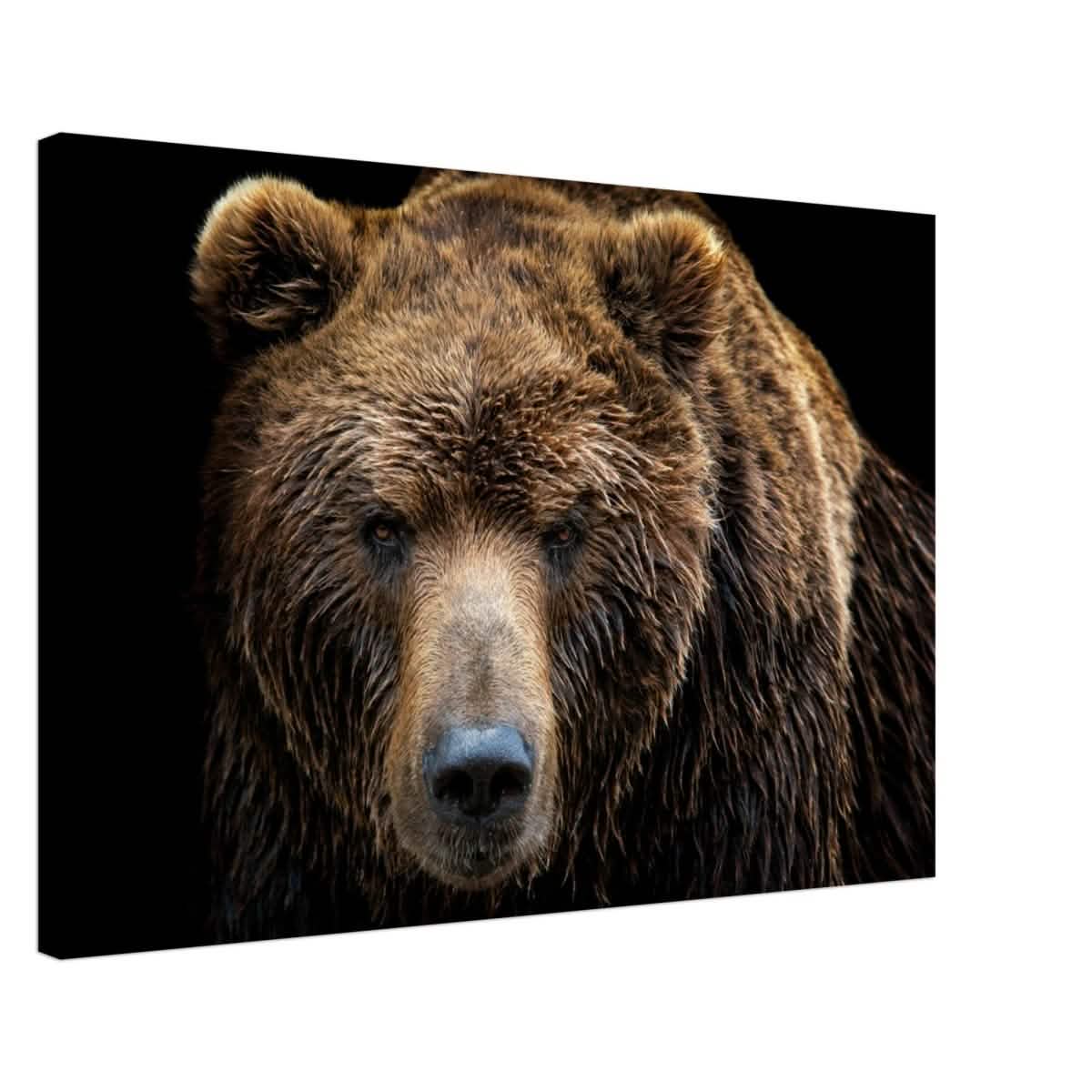 Da Vinci Animal Kingdom Wall art print | Brown bear - Canvas - 60x90 cm / 24x36″ - Thick