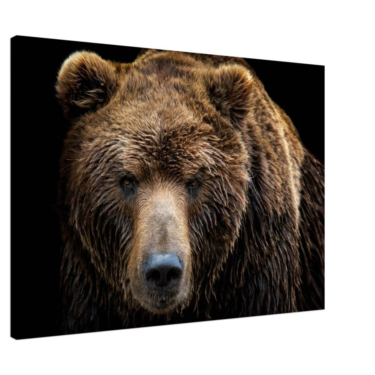 Da Vinci Animal Kingdom Wall art print | Brown bear - Canvas - 70x100 cm / 28x40″ - Slim