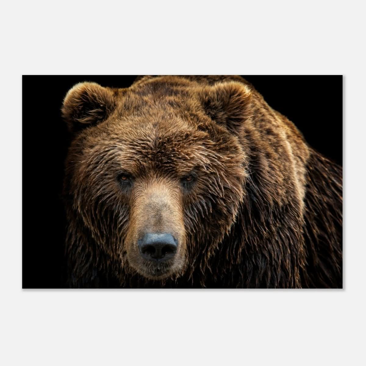 Da Vinci Animal Kingdom Wall art print | Brown bear - Wood Prints - 40x60 cm / 16x24″ - 20 mm