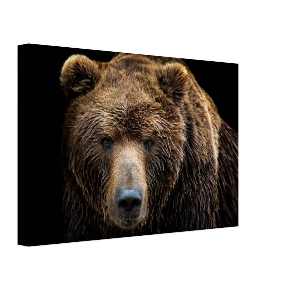 Da Vinci Animal Kingdom Wall art print | Brown bear - Canvas - 30x45 cm / 12x18″ - Thick
