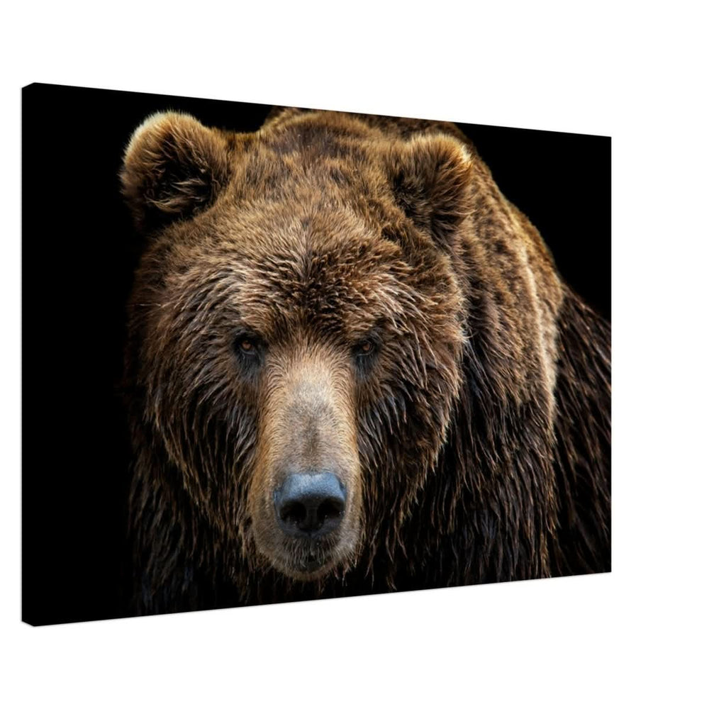 Da Vinci Animal Kingdom Wall art print | Brown bear - Canvas - 60x90 cm / 24x36″ - Slim