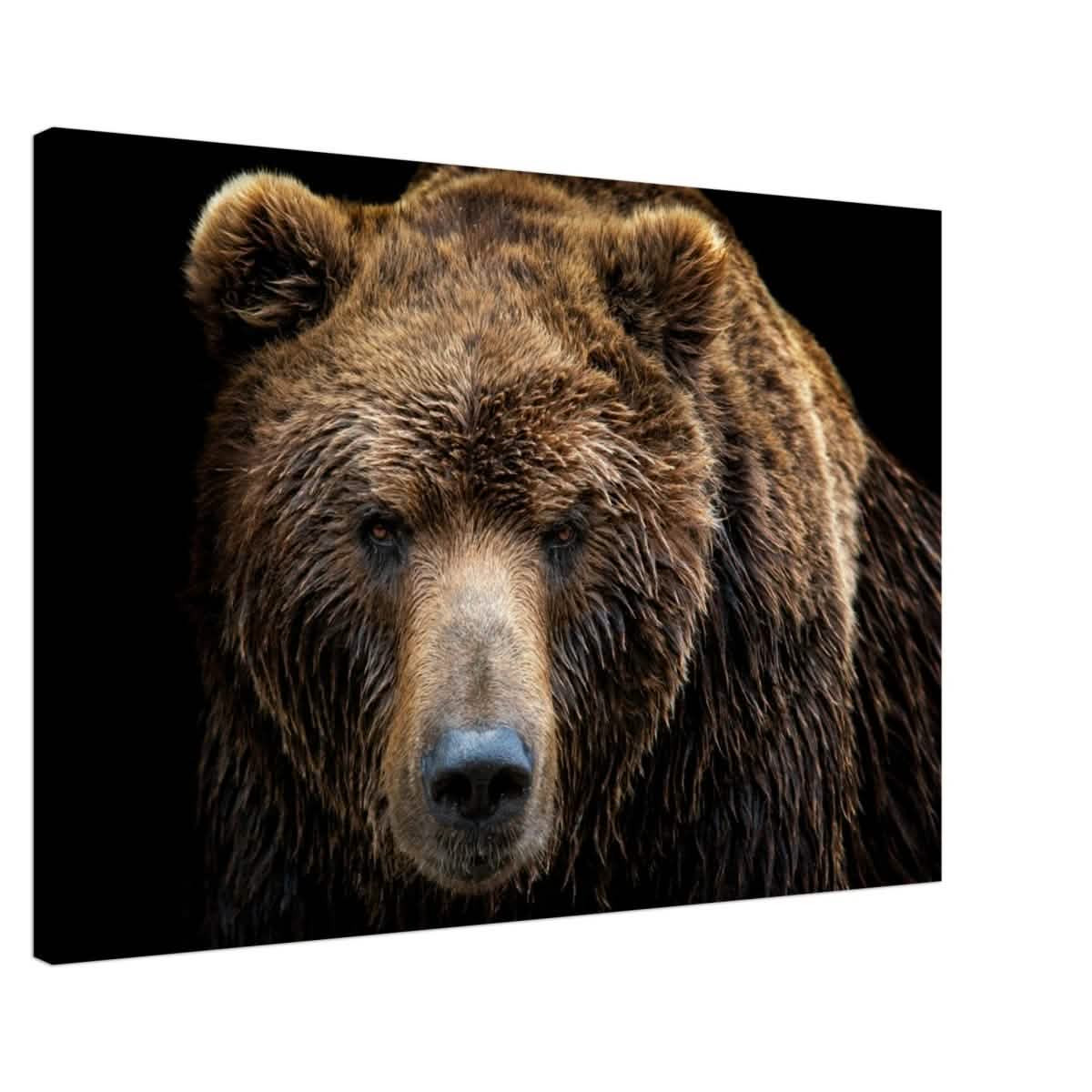 Da Vinci Animal Kingdom Wall art print | Brown bear - Canvas - 60x90 cm / 24x36″ - Slim