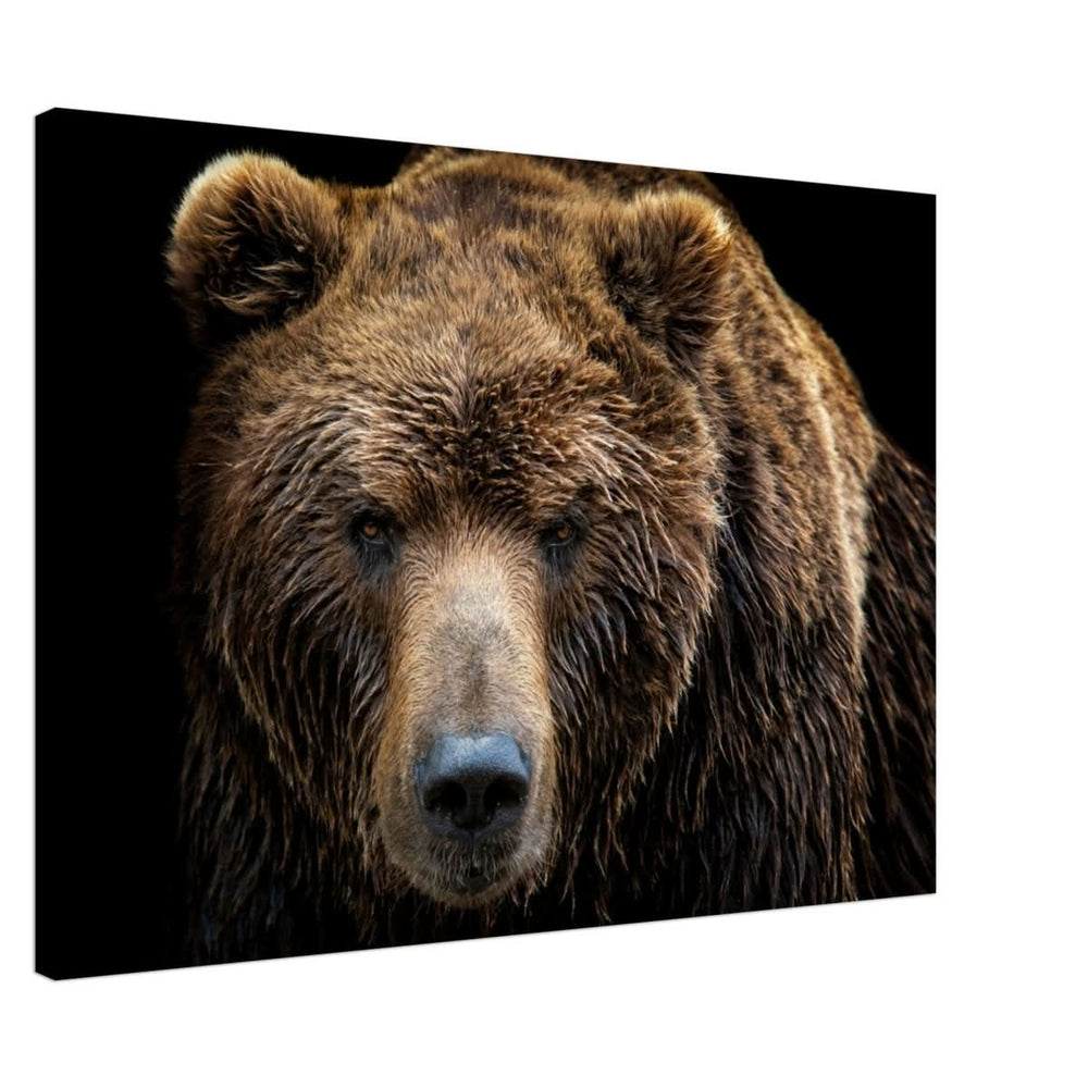 Da Vinci Animal Kingdom Wall art print | Brown bear - Canvas - 70x100 cm / 28x40″ - Thick