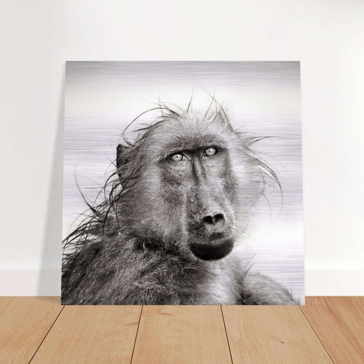 Da Vinci Animal Kingdom Wall art print collection | Chacma Baboon - Brushed Aluminum Print - 30x30 cm / 12x12″ -