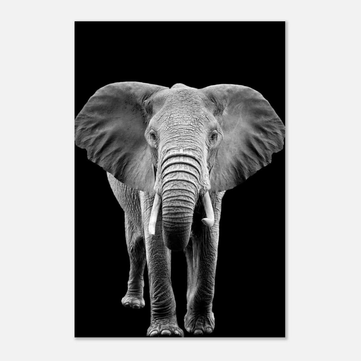 Da Vinci Animal Kingdom Wall art print collection | Elephant - Aluminum Print - 60x90 cm / 24x36″ -