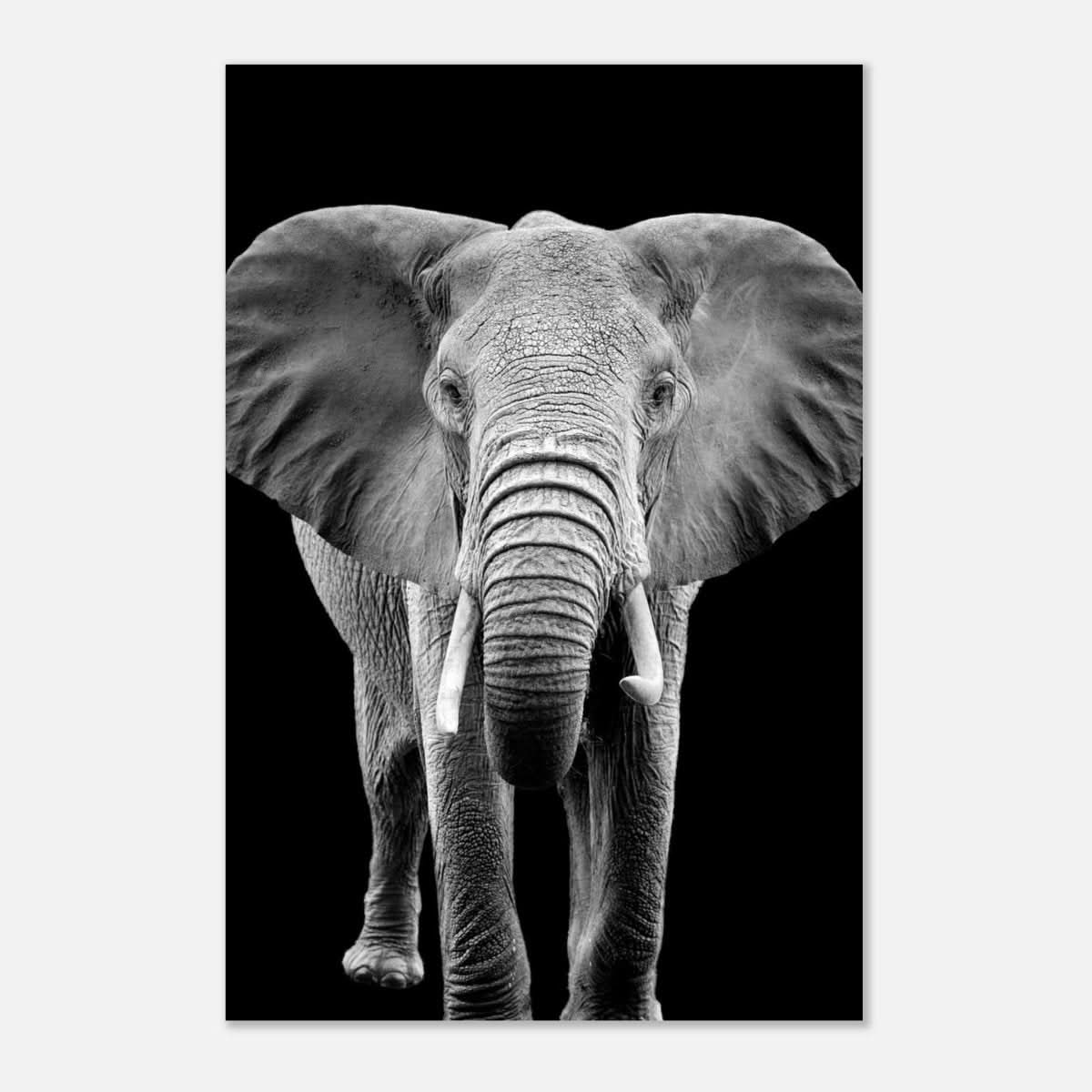 Da Vinci Animal Kingdom Wall art print collection | Elephant - Aluminum Print - 30x45 cm / 12x18″ -