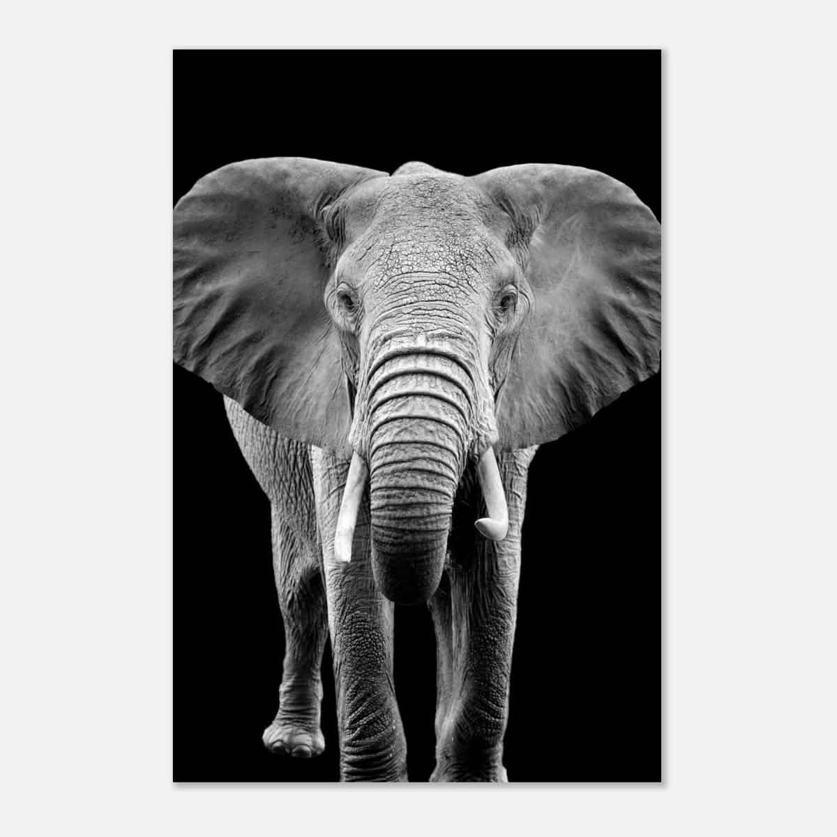 Da Vinci Animal Kingdom Wall art print collection | Elephant - Aluminum Print - 30x45 cm / 12x18″ -