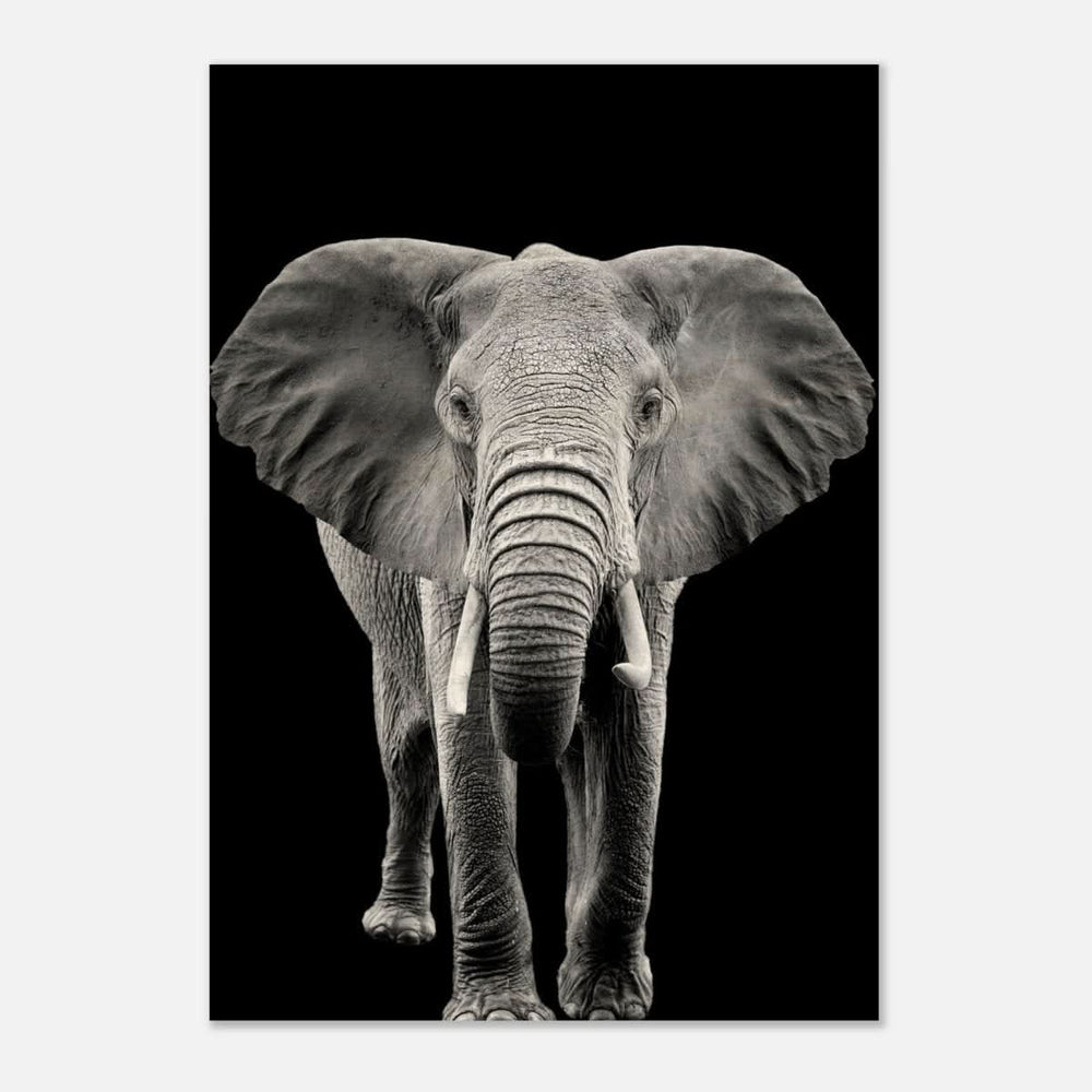 Da Vinci Animal Kingdom Wall art print collection | Elephant - Wood Prints - 70x100 cm / 28x40″ - 20 mm