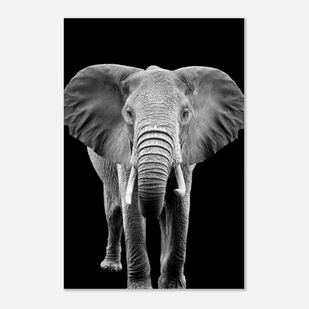 Da Vinci Animal Kingdom Wall art print collection | Elephant - Aluminum Print - 40x60 cm / 16x24″ -