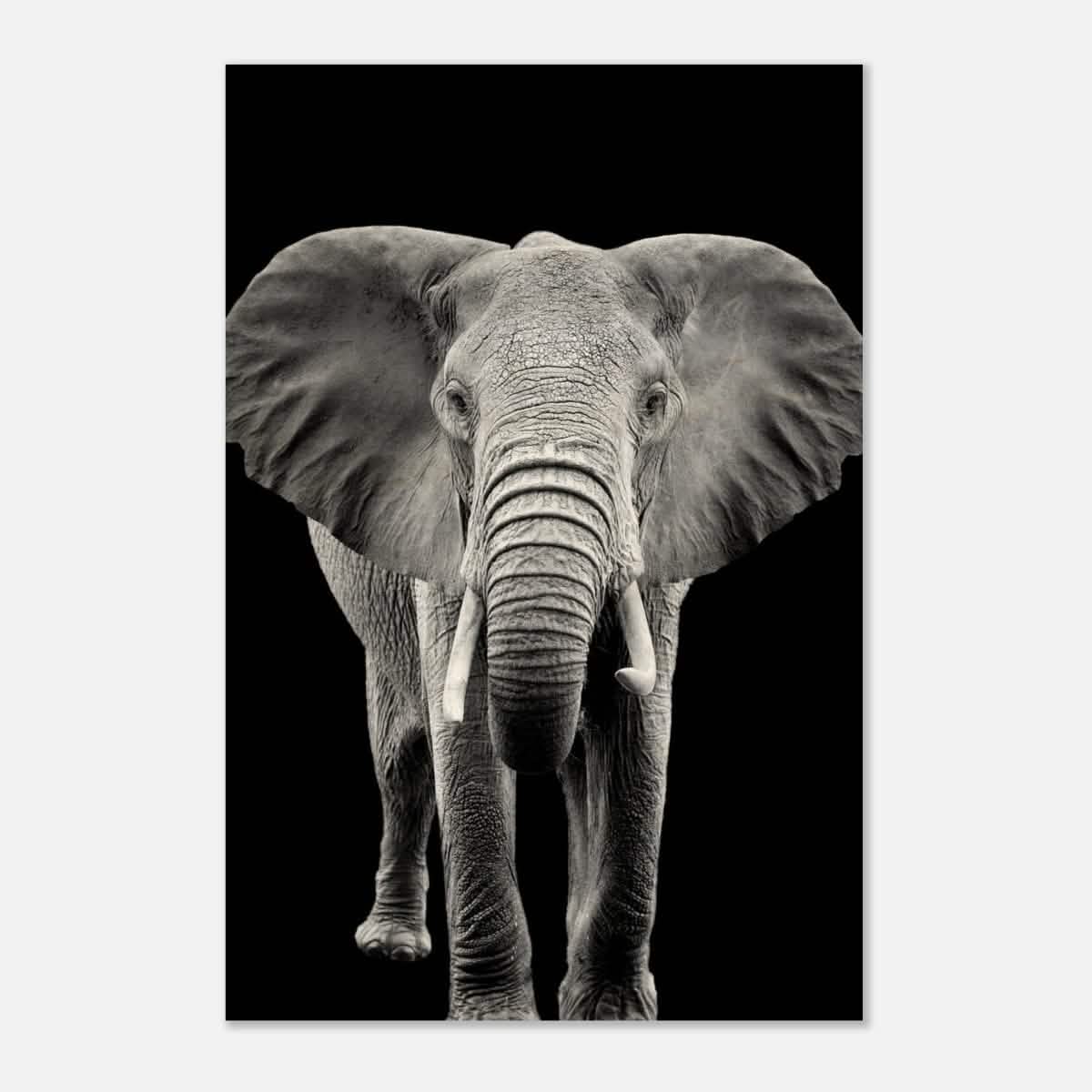 Da Vinci Animal Kingdom Wall art print collection | Elephant - Wood Prints - 40x60 cm / 16x24″ - 10 mm