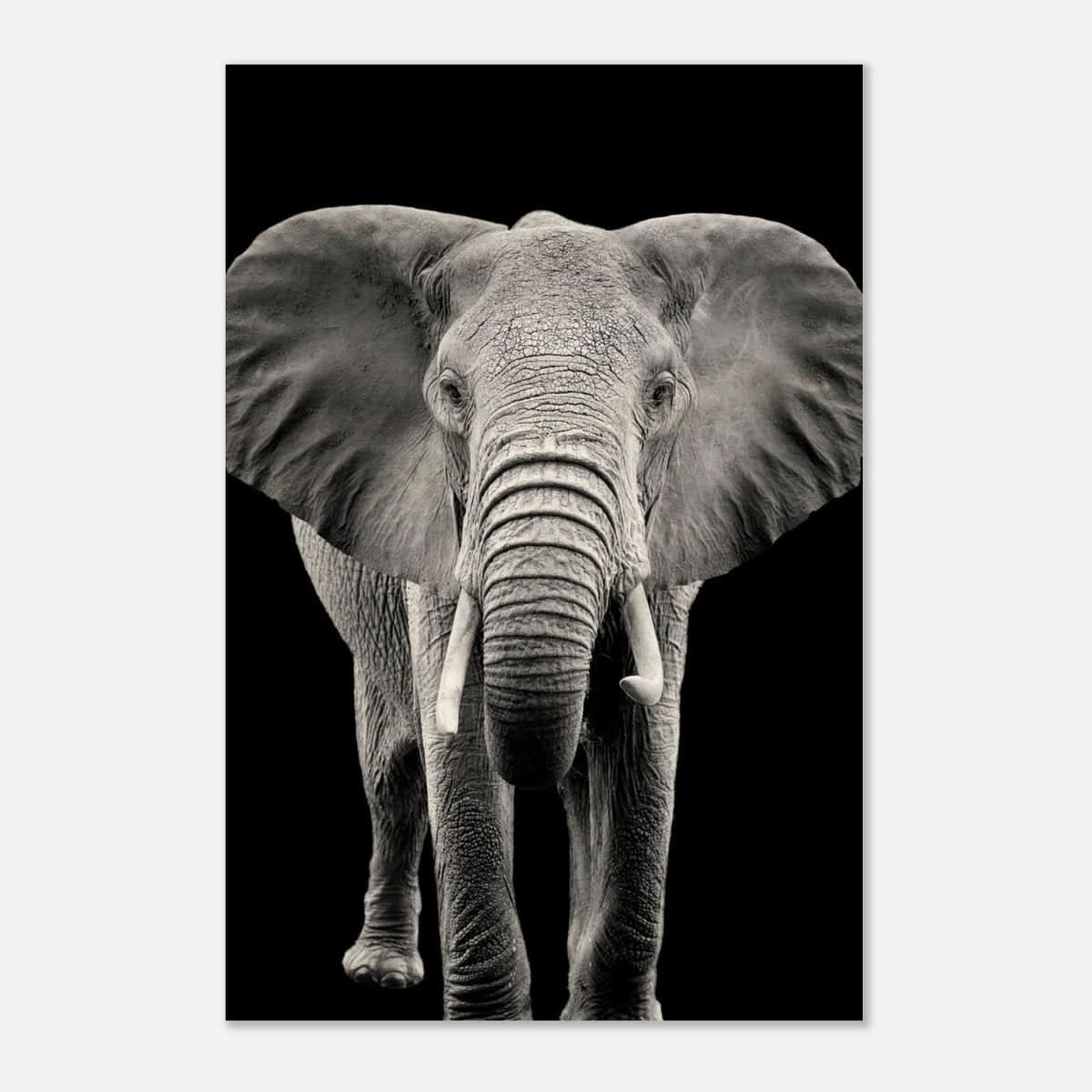 Da Vinci Animal Kingdom Wall art print collection | Elephant - Wood Prints - 30x45 cm / 12x18″ - 20 mm