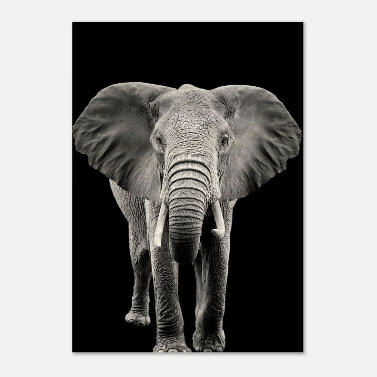Da Vinci Animal Kingdom Wall art print collection | Elephant - Wood Prints - 70x100 cm / 28x40″ - 10 mm