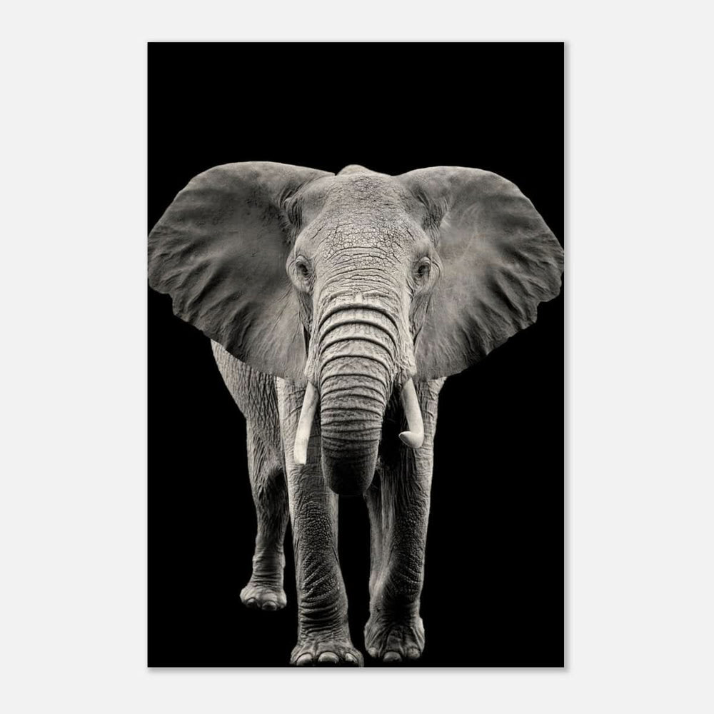 Da Vinci Animal Kingdom Wall art print collection | Elephant - Wood Prints - 60x90 cm / 24x36″ - 20 mm