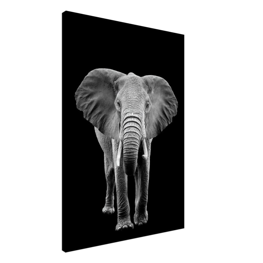 Da Vinci Animal Kingdom Wall art print collection | Elephant - Canvas - 70x100 cm / 28x40″ - Thick