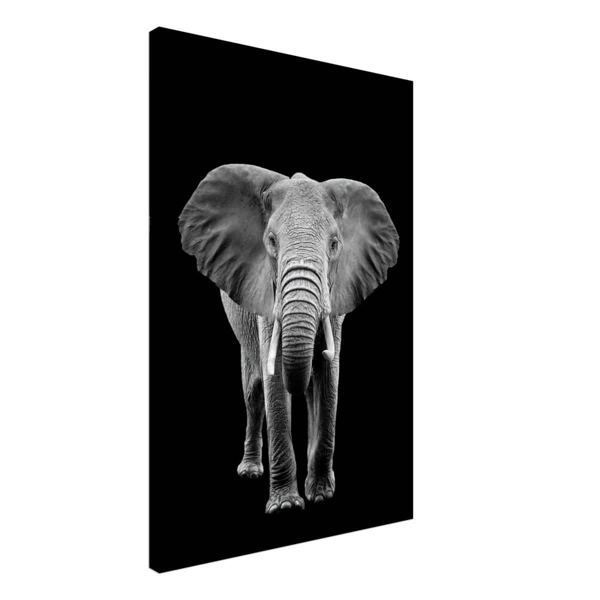 Da Vinci Animal Kingdom Wall art print collection | Elephant - Canvas - 60x90 cm / 24x36″ - Thick