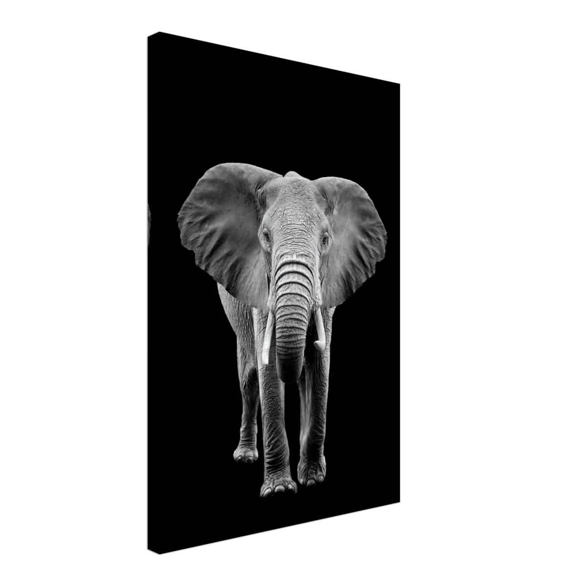 Da Vinci Animal Kingdom Wall art print collection | Elephant - Canvas - 40x60 cm / 16x24″ - Slim