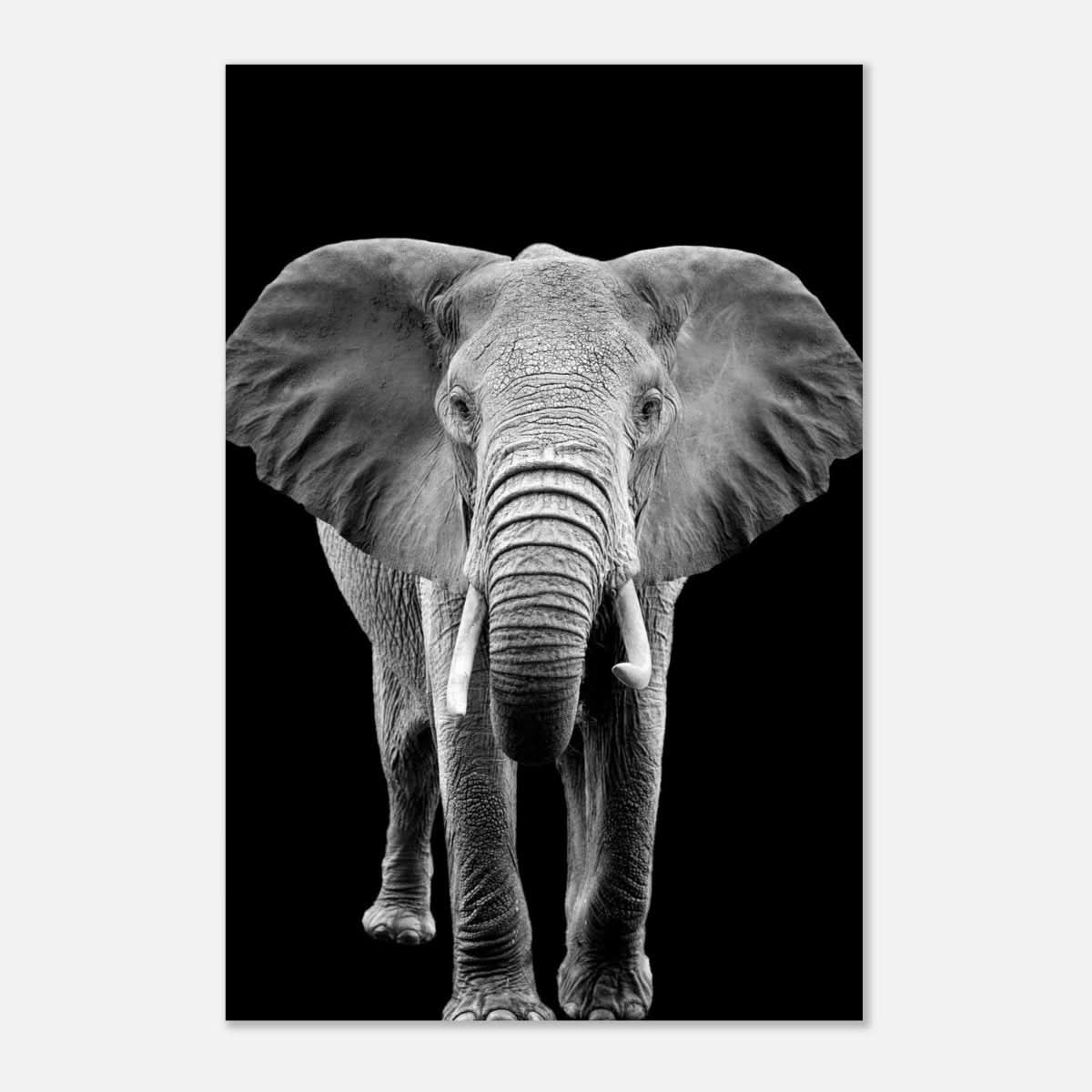 Da Vinci Animal Kingdom Wall art print collection | Elephant - Aluminum Print - 50x75 cm / 20x30″ -