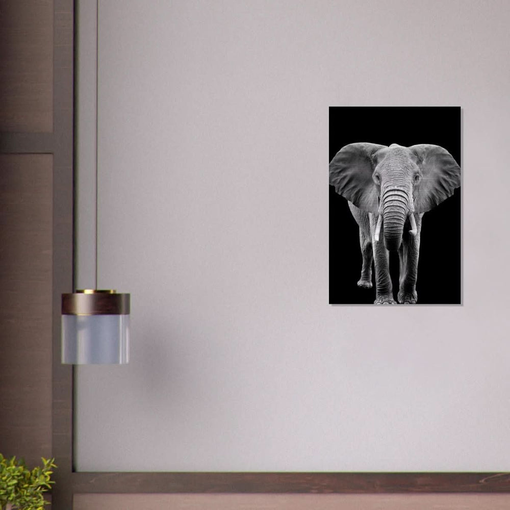 Da Vinci Animal Kingdom Wall art print collection | Elephant - Brushed Aluminum Print - 50x75 cm / 20x30″ -