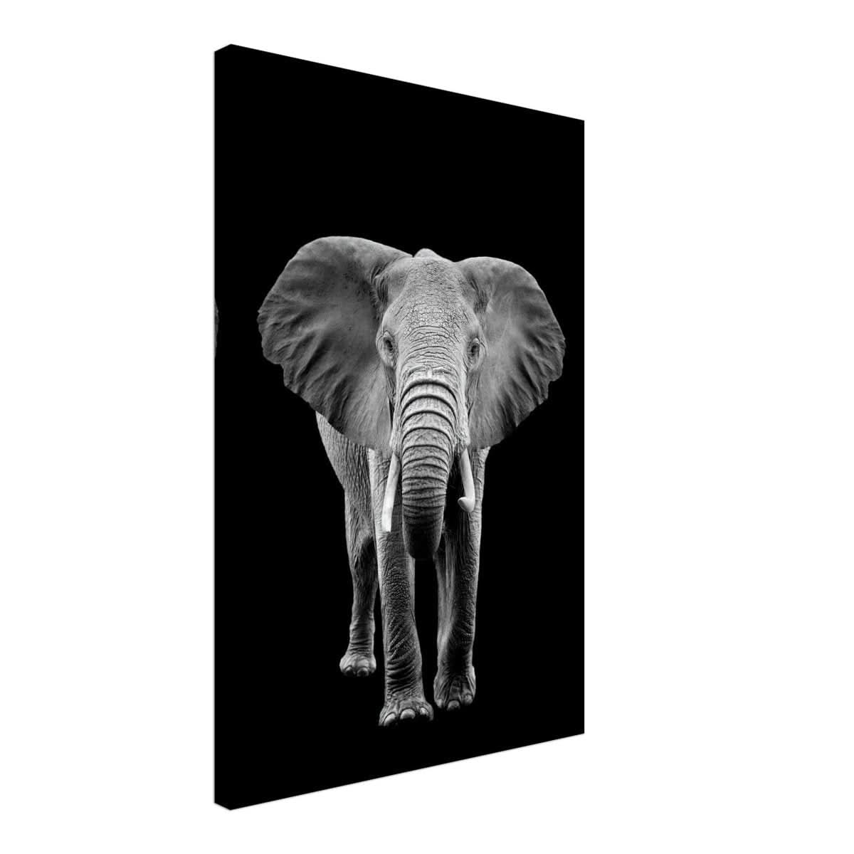 Da Vinci Animal Kingdom Wall art print collection | Elephant - Canvas - 50x75 cm / 20x30″ - Thick