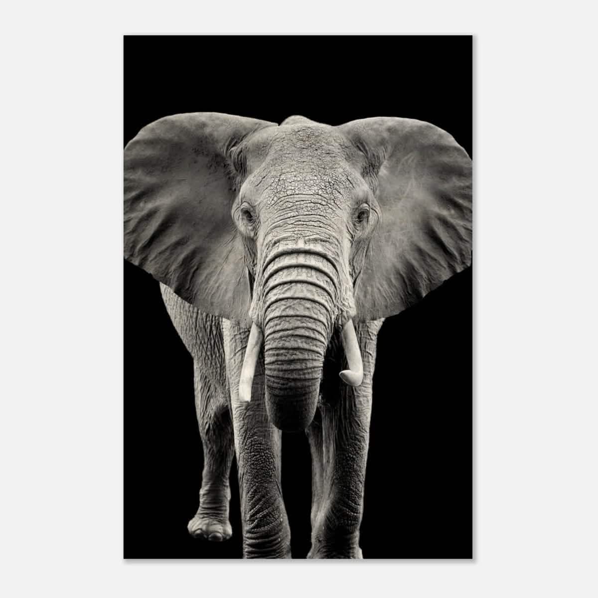 Da Vinci Animal Kingdom Wall art print collection | Elephant - Wood Prints - 30x45 cm / 12x18″ - 10 mm