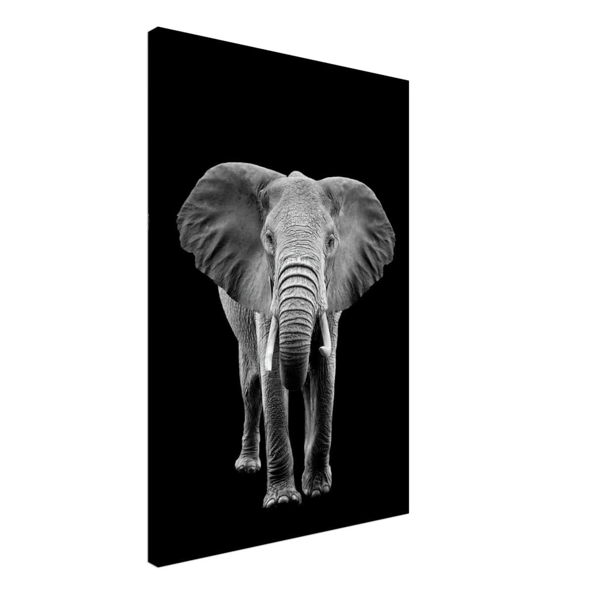 Da Vinci Animal Kingdom Wall art print collection | Elephant - Canvas - 50x75 cm / 20x30″ - Slim