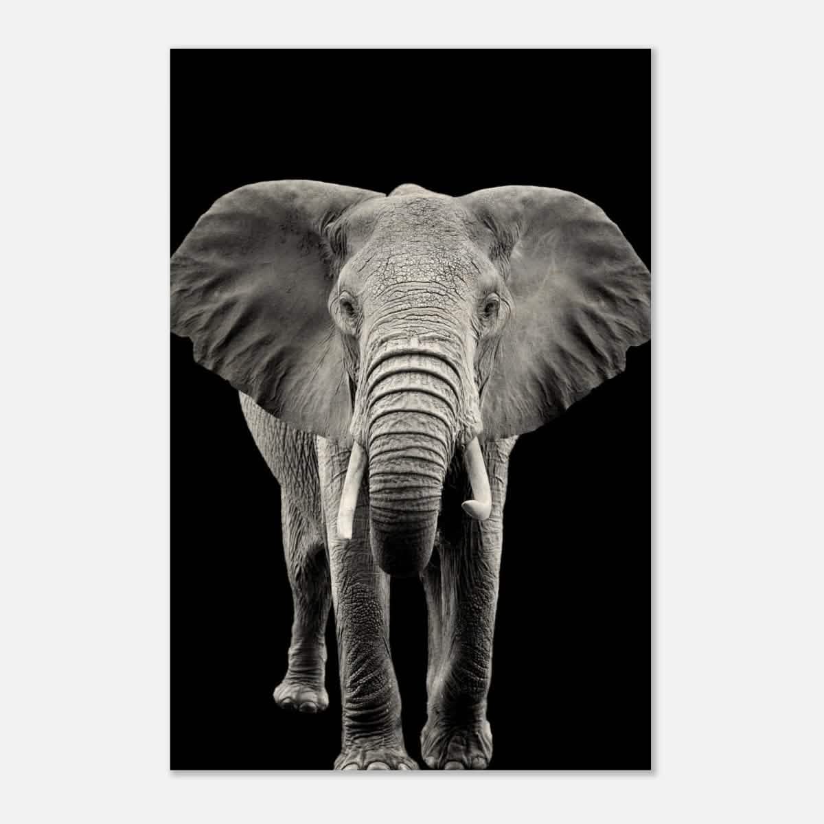 Da Vinci Animal Kingdom Wall art print collection | Elephant - Wood Prints - 50x75 cm / 20x30″ - 10 mm