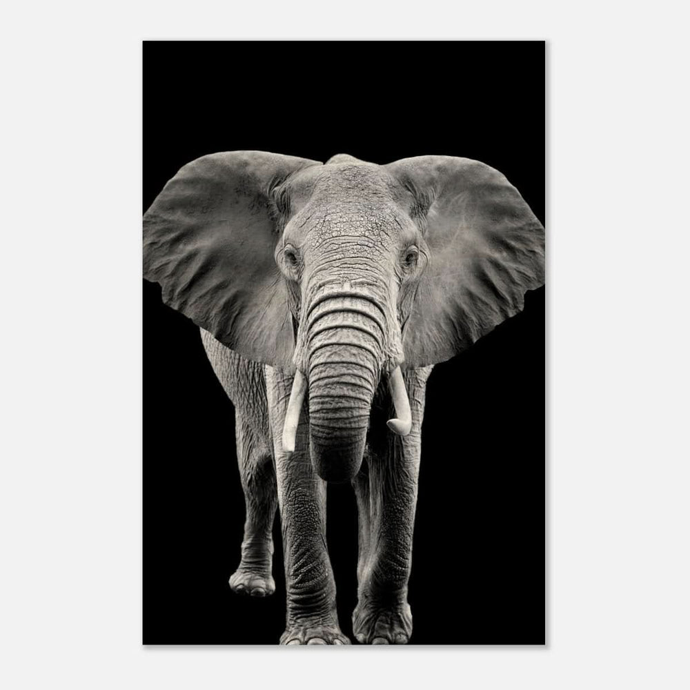 Da Vinci Animal Kingdom Wall art print collection | Elephant - Wood Prints - 50x75 cm / 20x30″ - 10 mm