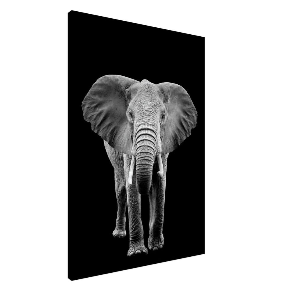 Da Vinci Animal Kingdom Wall art print collection | Elephant - Canvas - 70x100 cm / 28x40″ - Slim