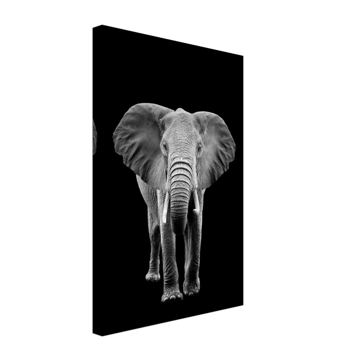 Da Vinci Animal Kingdom Wall art print collection | Elephant - Canvas - 30x45 cm / 12x18″ - Slim