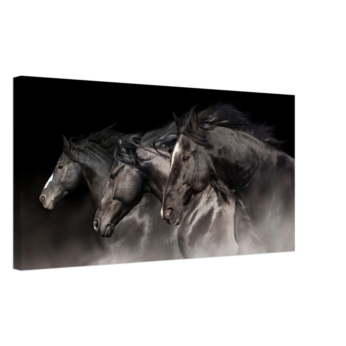 Da Vinci Animal Kingdom Wall art print collection | horses | Canvas print - Thick - 40x80 cm / 16x32″ -