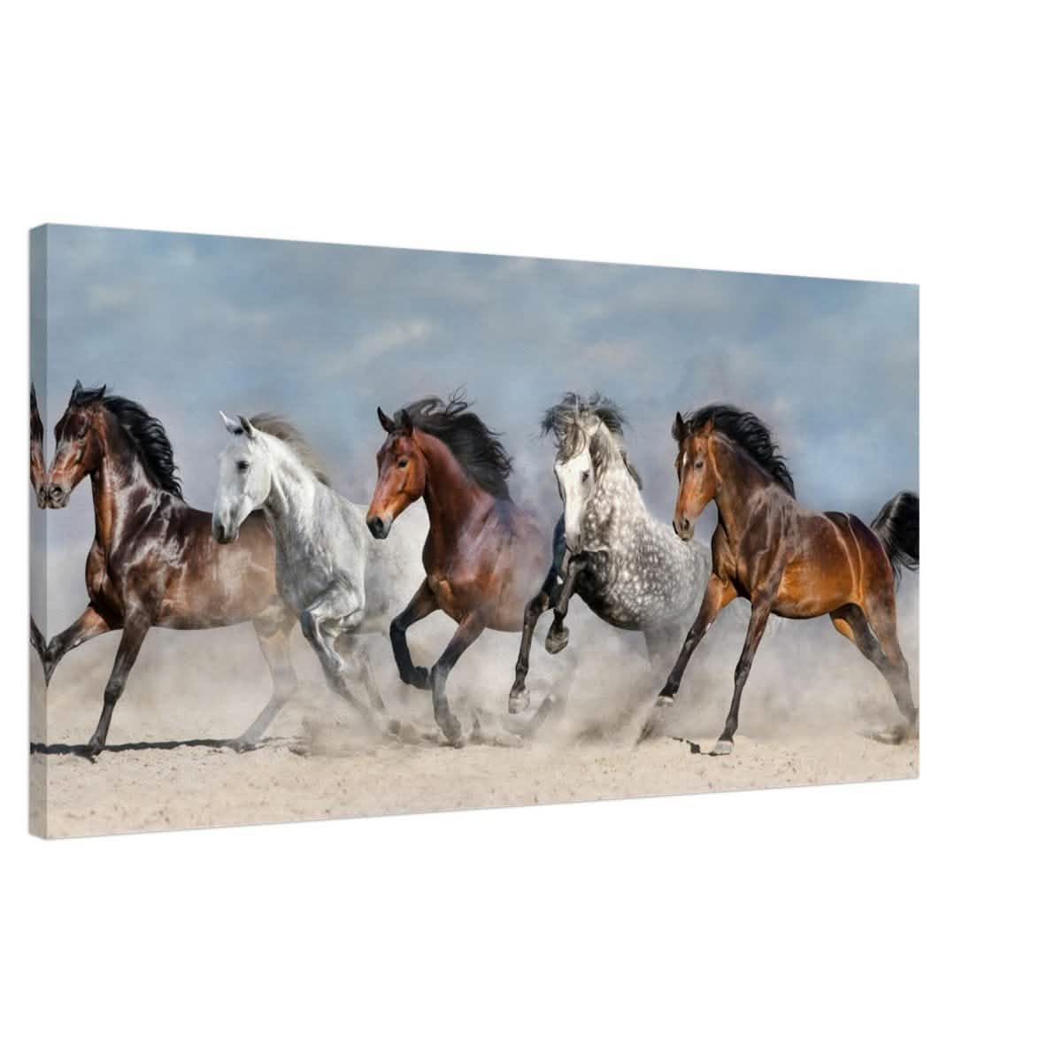 Da Vinci Animal Kingdom Wall art print collection | horses | Canvas print - Slim - 50x100 cm / 20x40″ -