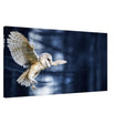 Da Vinci Animal Kingdom Wall art print collection | Owl | Canvas print - Slim - 50x100 cm / 20x40″ -