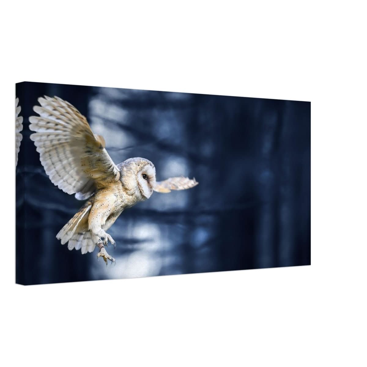 Da Vinci Animal Kingdom Wall art print collection | Owl | Canvas print - Slim - 30x60 cm / 12x24″ -