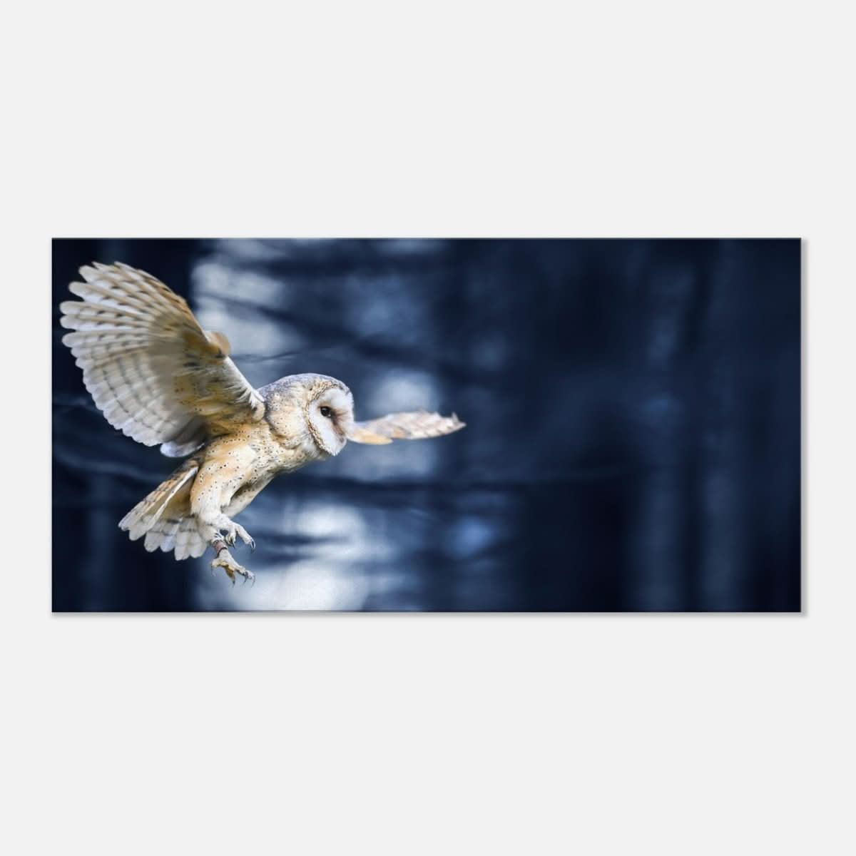 Da Vinci Animal Kingdom Wall art print collection | Owl | Canvas print - Thick - 50x100 cm / 20x40″ -